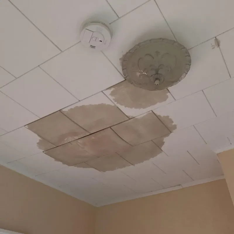Ceiling Water Damage Repair in Pecos, TX