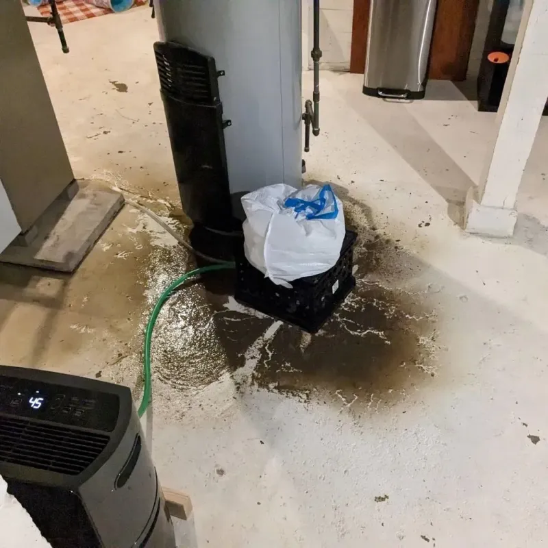 Sewage Backup Cleanup Service in Pecos, TX